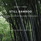 Still Bamboo Soy Candle