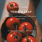 Tomato Leaf Soy Candle