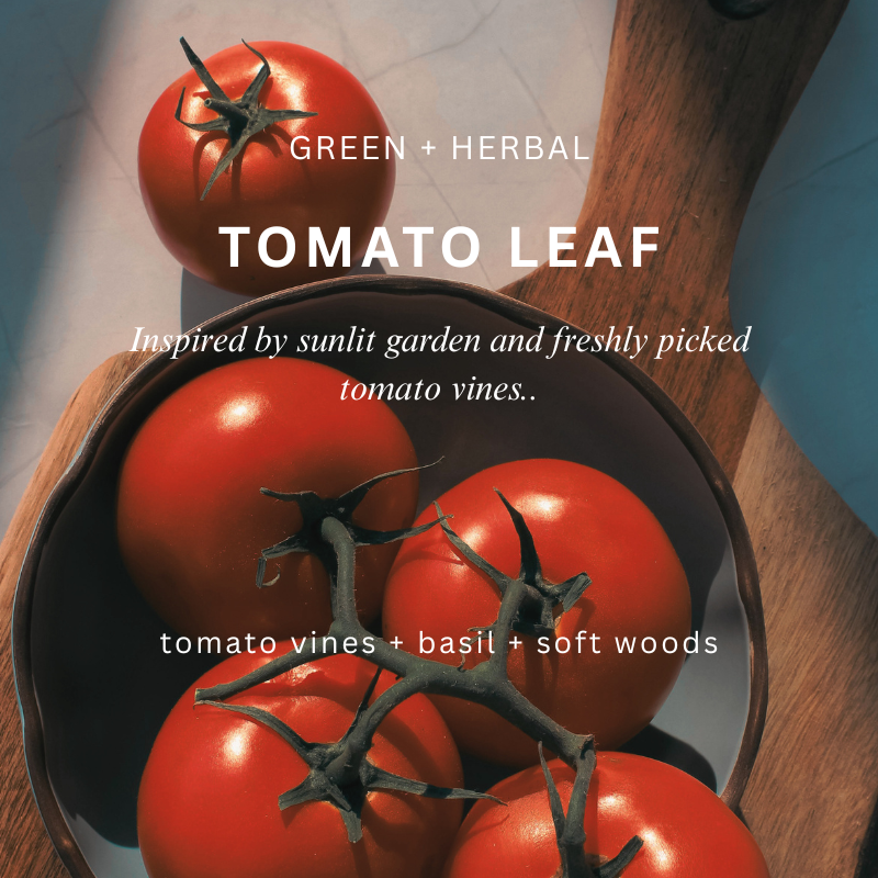 Tomato Leaf Soy Candle